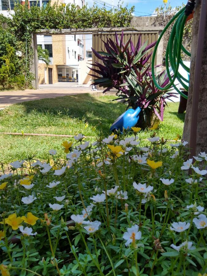 Hostel Consciente Aracaju Exteriör bild